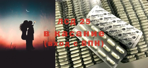 PSILOCYBIN Алзамай