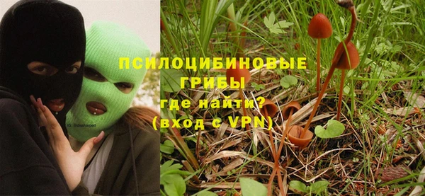 гидра Балахна